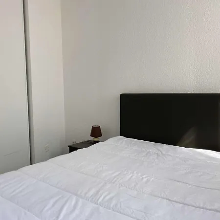Apartment Beau T2 Renove Avec Balcons, Climatisation Et Proche Des Thermes - - Fr-1-553-115 Balaruc-les-Bains