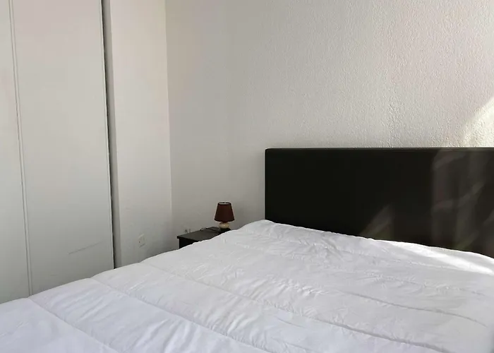 Lägenhet Beau T2 Renove Avec Balcons, Climatisation Et Proche Des Thermes - - Fr-1-553-115 Balaruc-les-Bains