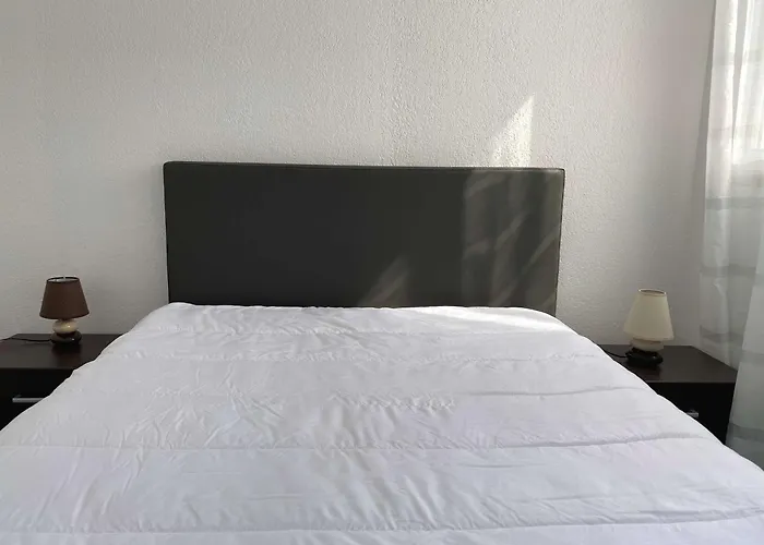 Beau T2 Renove Avec Balcons, Climatisation Et Proche Des Thermes - - Fr-1-553-115 *