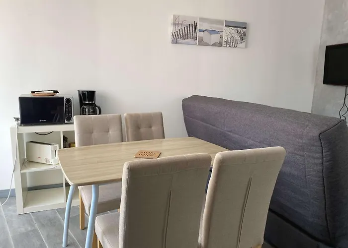 Beau T2 Renove Avec Balcons, Climatisation Et Proche Des Thermes - - Fr-1-553-115 Lägenhet Balaruc-les-Bains