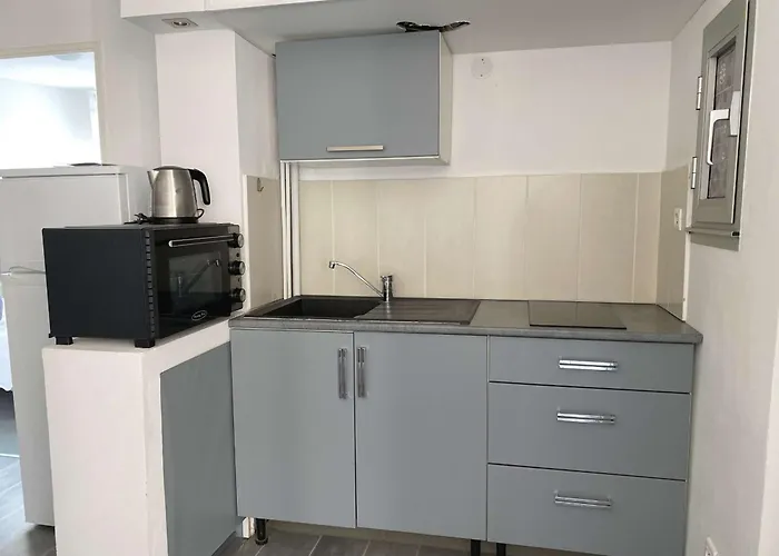 Beau T2 Renove Avec Balcons, Climatisation Et Proche Des Thermes - - Fr-1-553-115